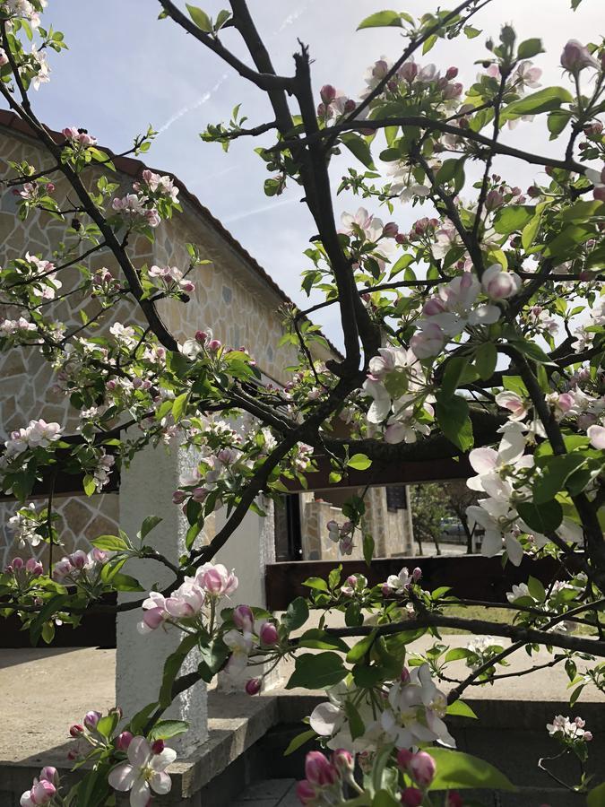 Holiday Home Ivana Virpazar Dış mekan fotoğraf